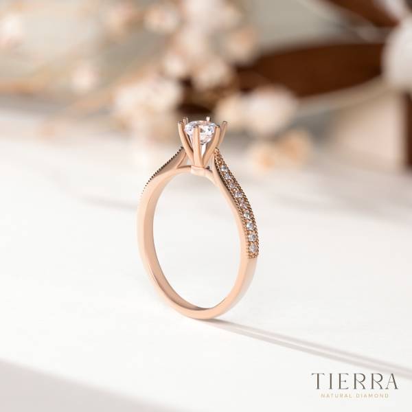 Nhẫn kim cương 5ly4 Solitaire Pave 6 chấu viền bi NCH1204